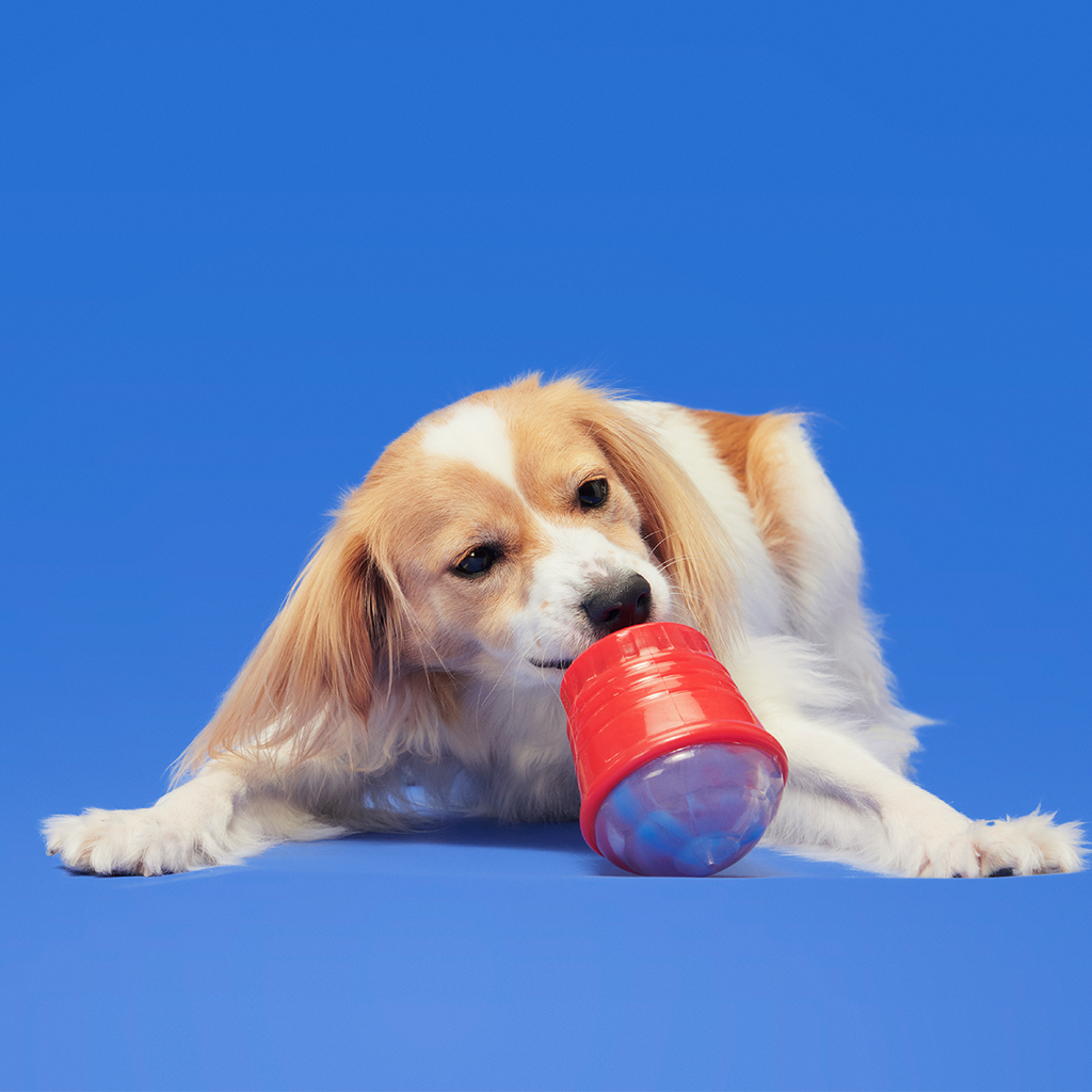 Treat-Dispensing Dog Toy product image 5