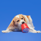 Treat-Dispensing Dog Toy product image 5