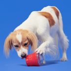 Treat-Dispensing Dog Toy product image 6