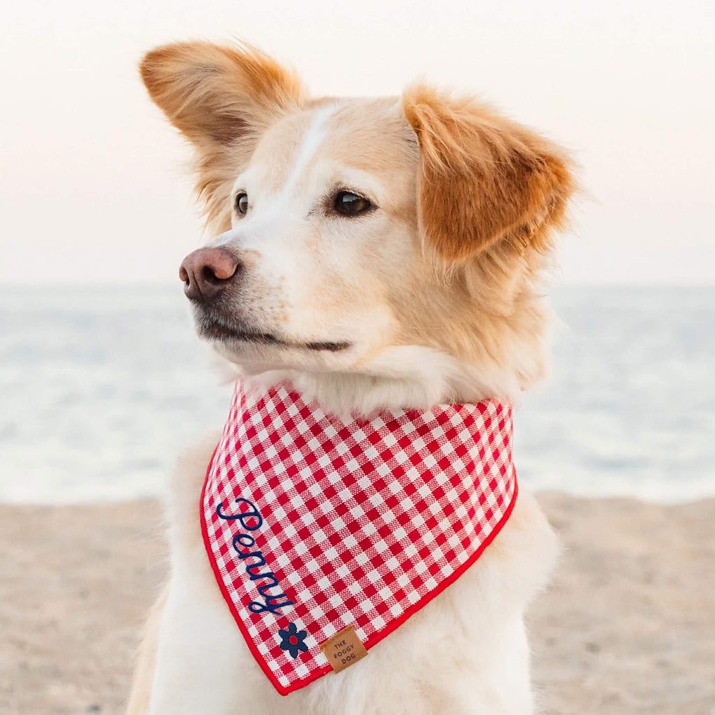 Dog Bandana product image 2