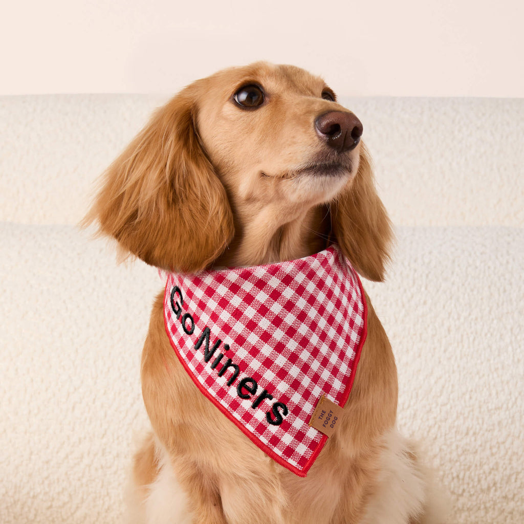 Dog Bandana product image 3