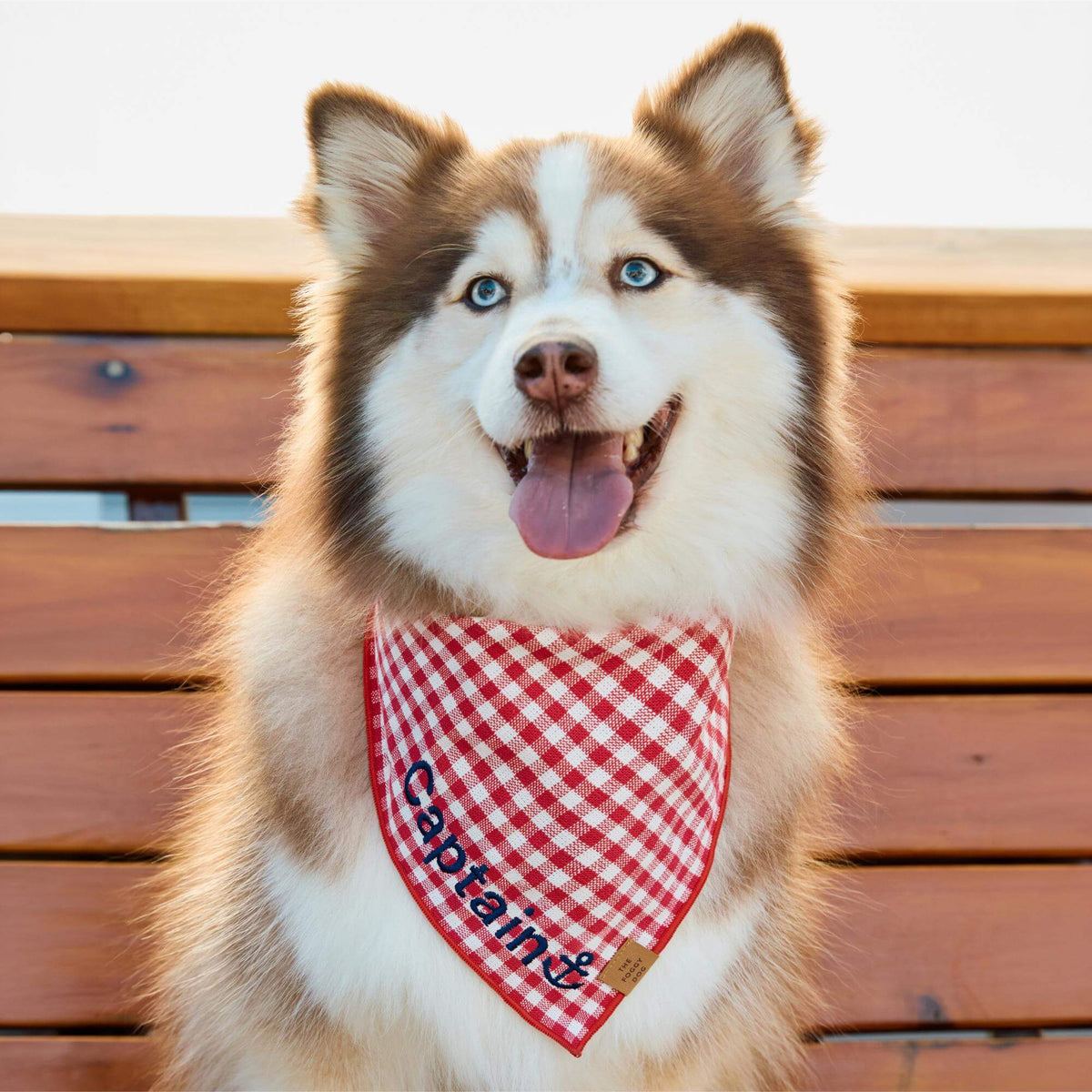 Dog Bandana product image 4