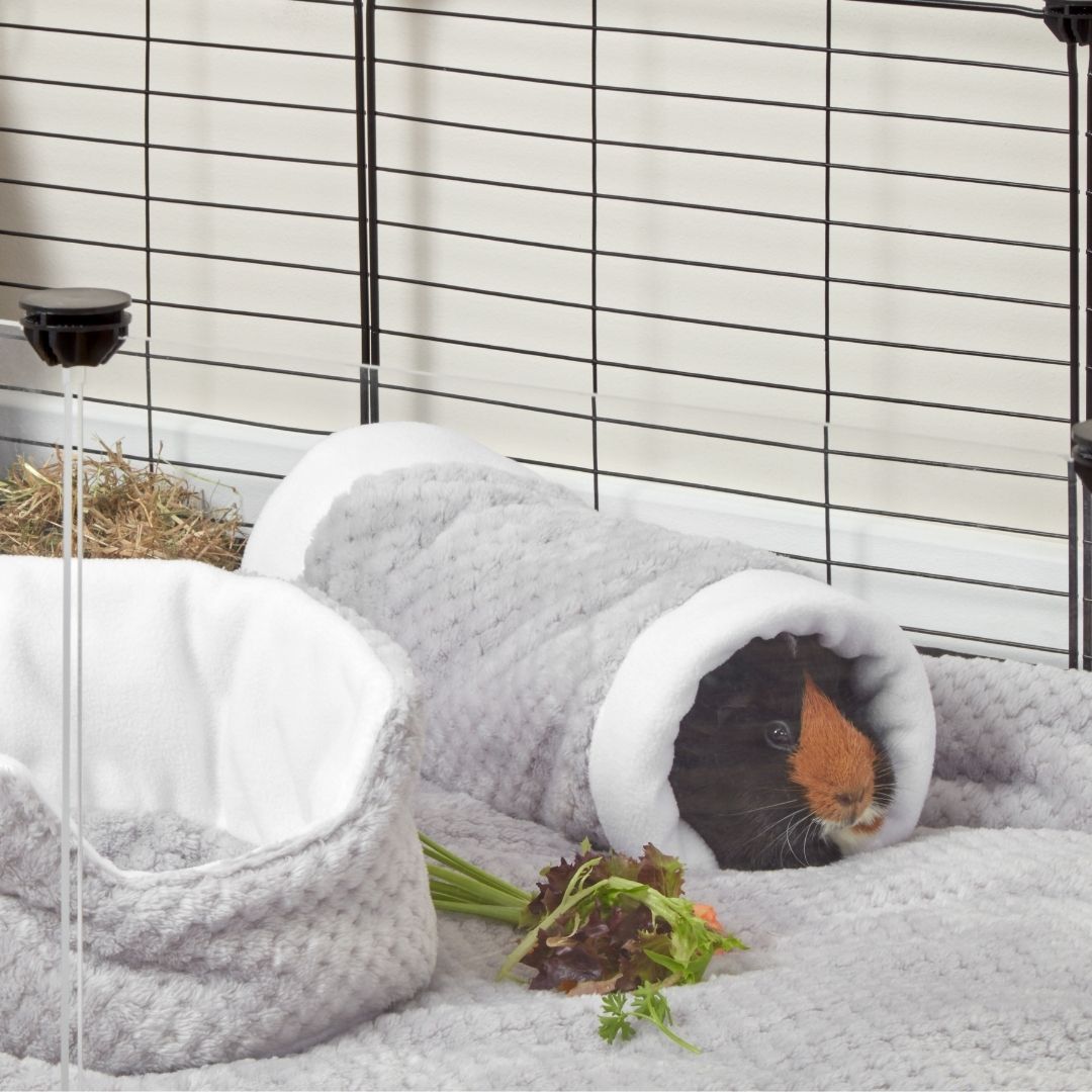 Guinea Pig Tunnel product image 3