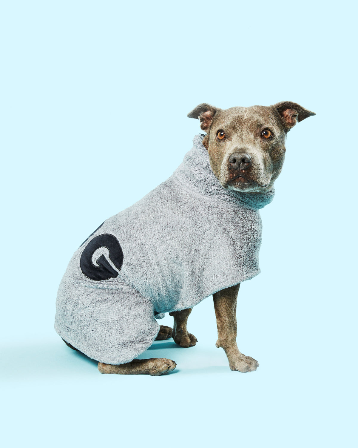 Dog Poncho product image 1