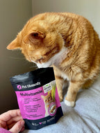 Cat Supplement Bundle product image 7