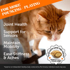 Cat Supplement Bundle product image 11