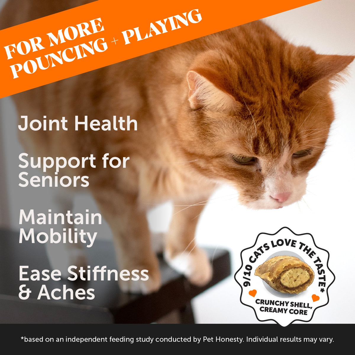 Cat Supplement Bundle product image 11