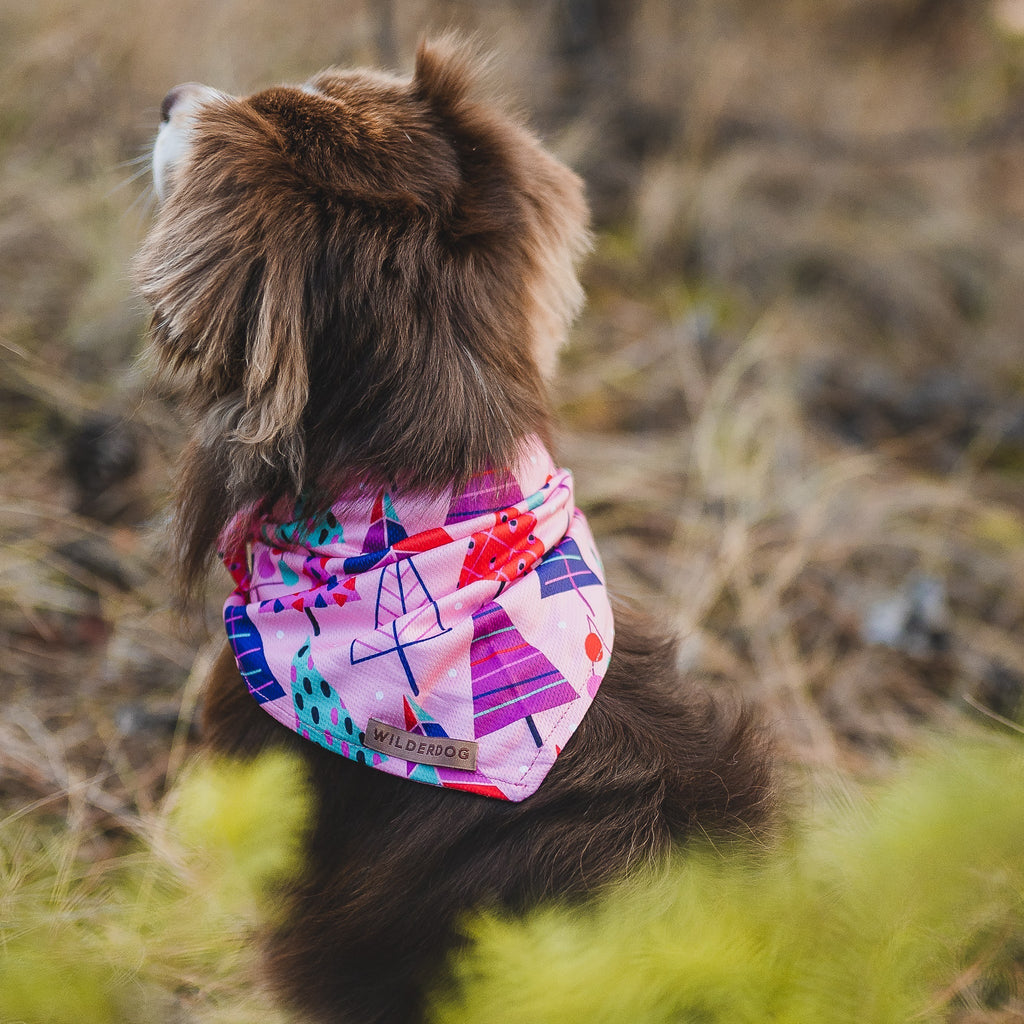 Cooling Dog Bandana product image 3