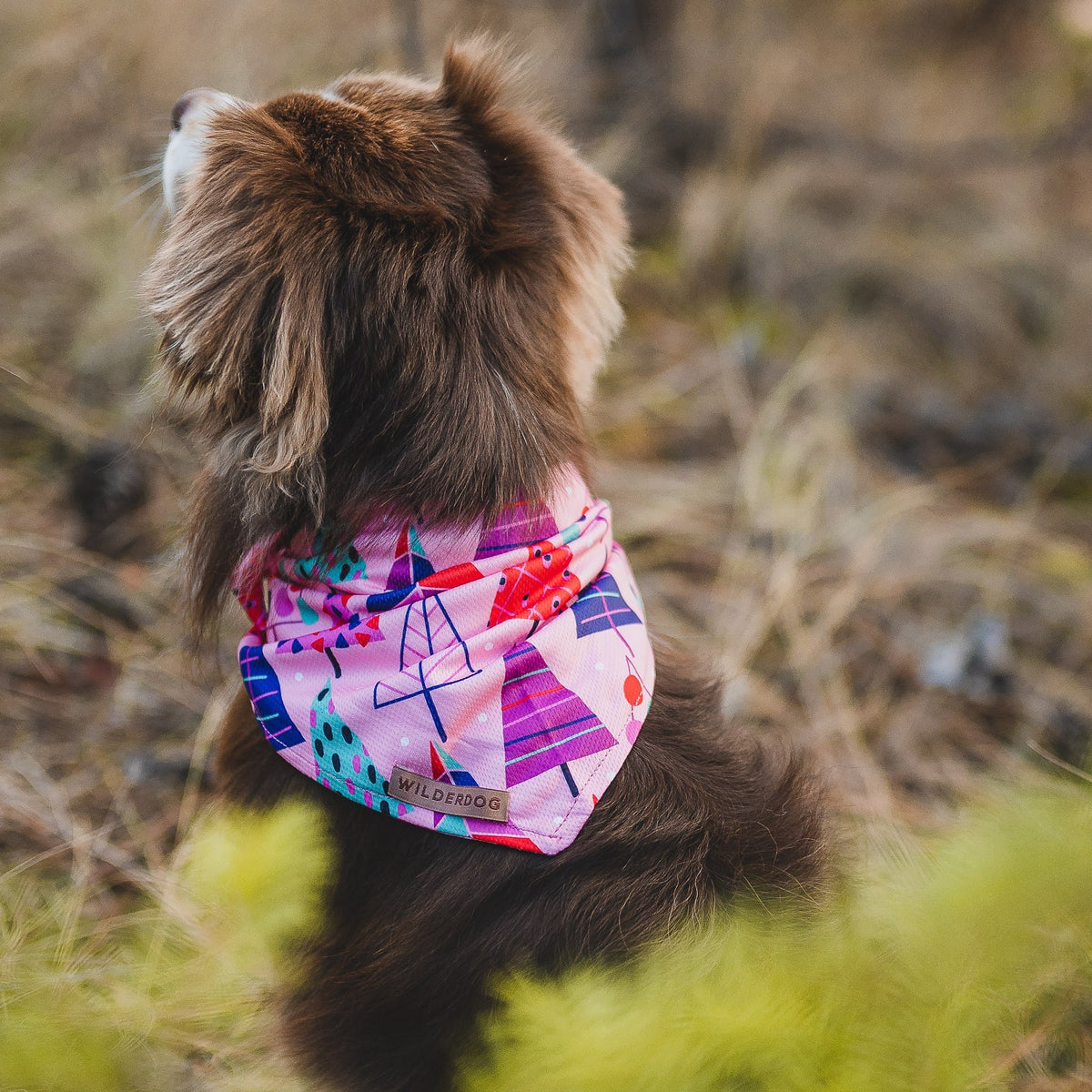 Cooling Dog Bandana product image 3