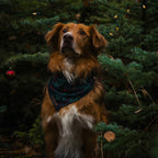 Cooling Dog Bandana product image 2