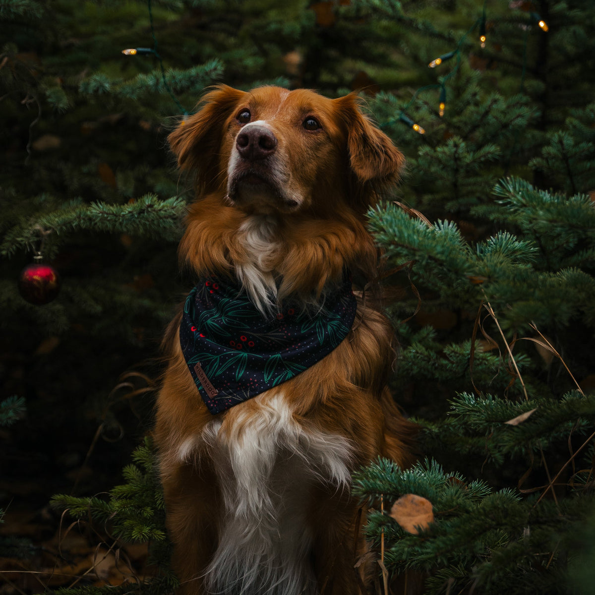 Cooling Dog Bandana product image 2