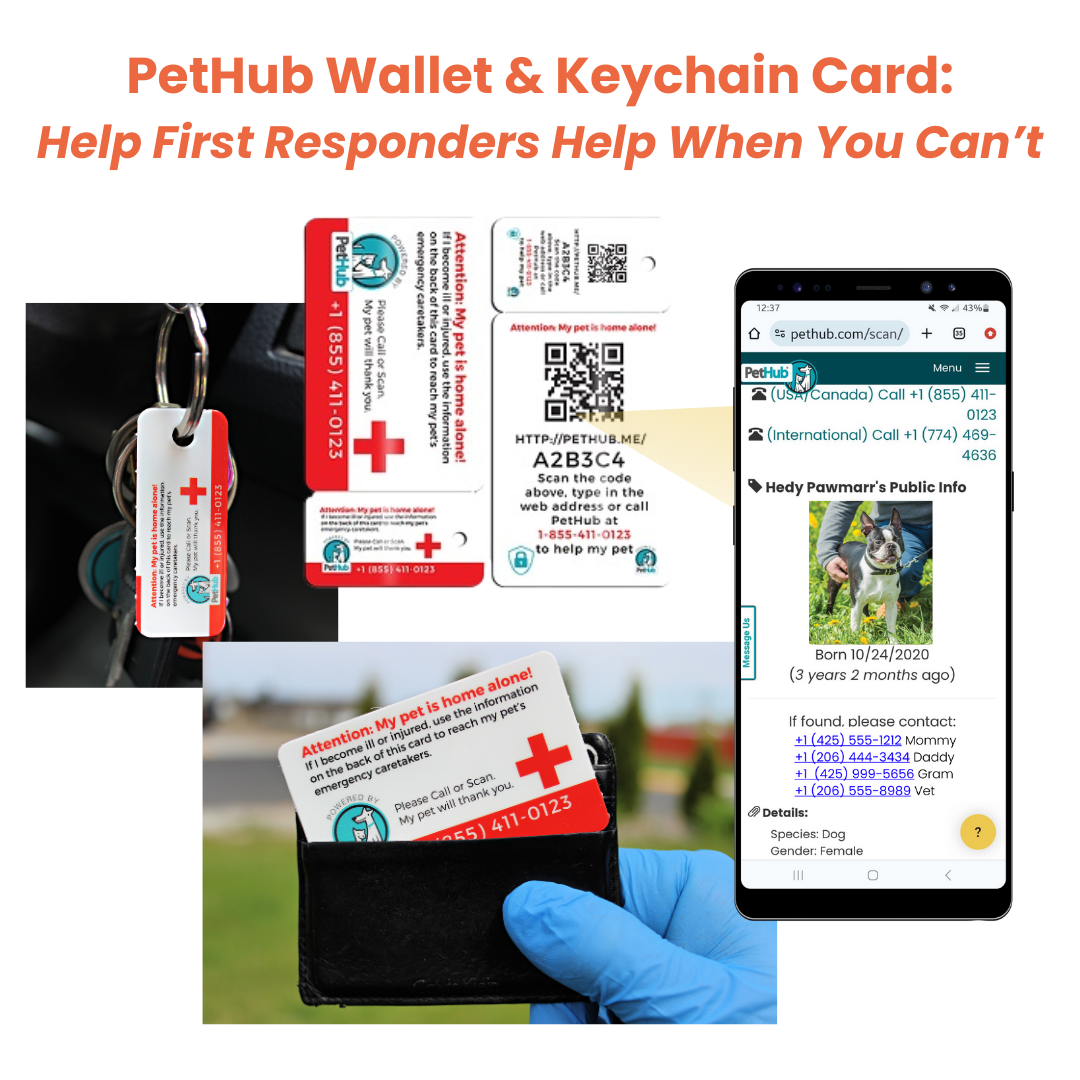 QR Pet ID Kit product image 5
