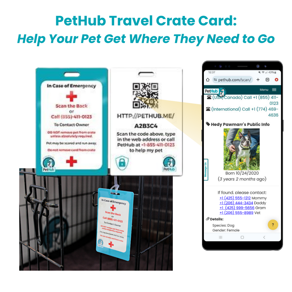 QR Pet ID Kit product image 6