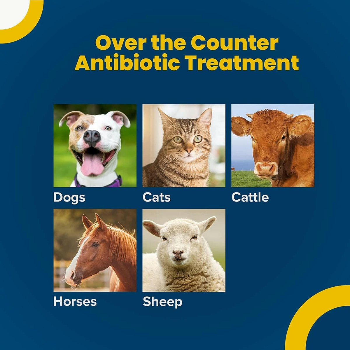Pet Eye Medicine product image 4