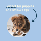 Mini Bully Sticks product image 3