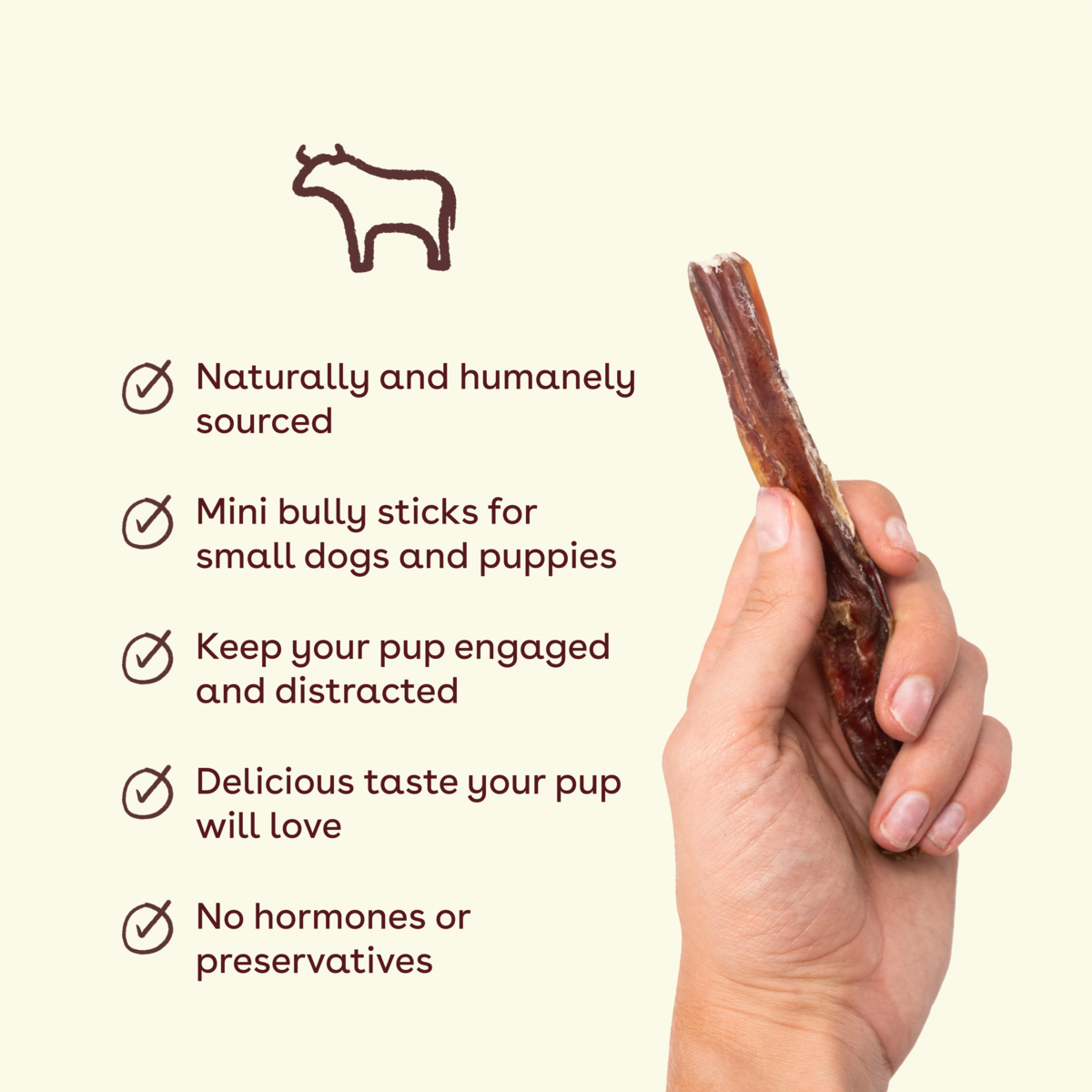 Mini Bully Sticks product image 4