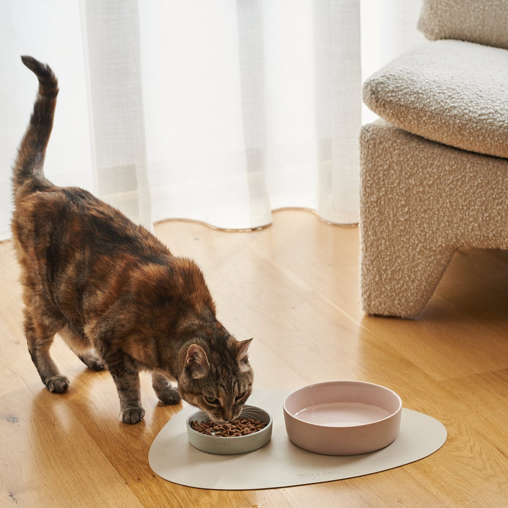 Ceramic Cat Bowl product image 5