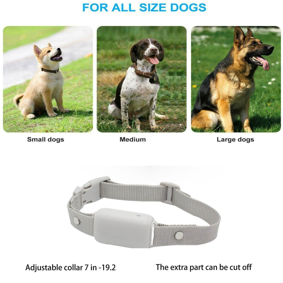 Vibration Dog Training Collar product image 10