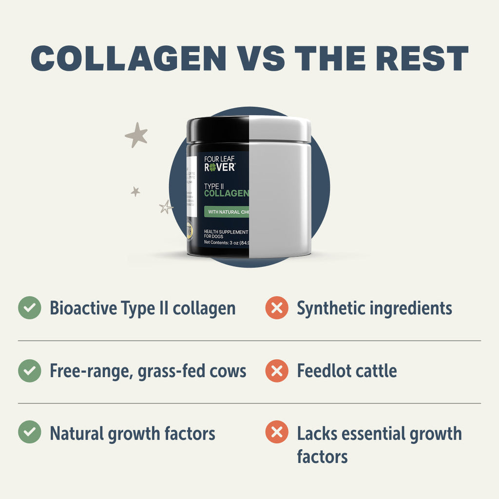Dog Collagen Supplement product image 4
