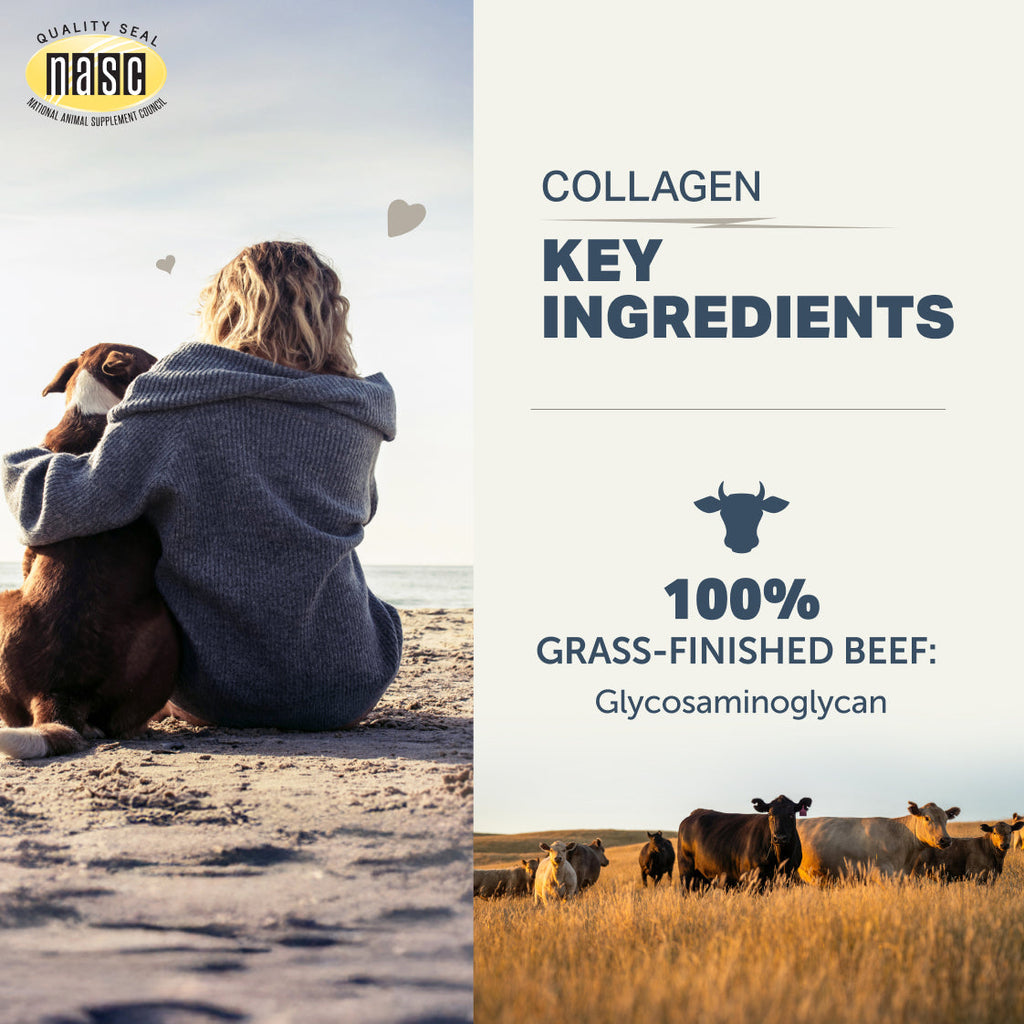 Dog Collagen Supplement product image 7