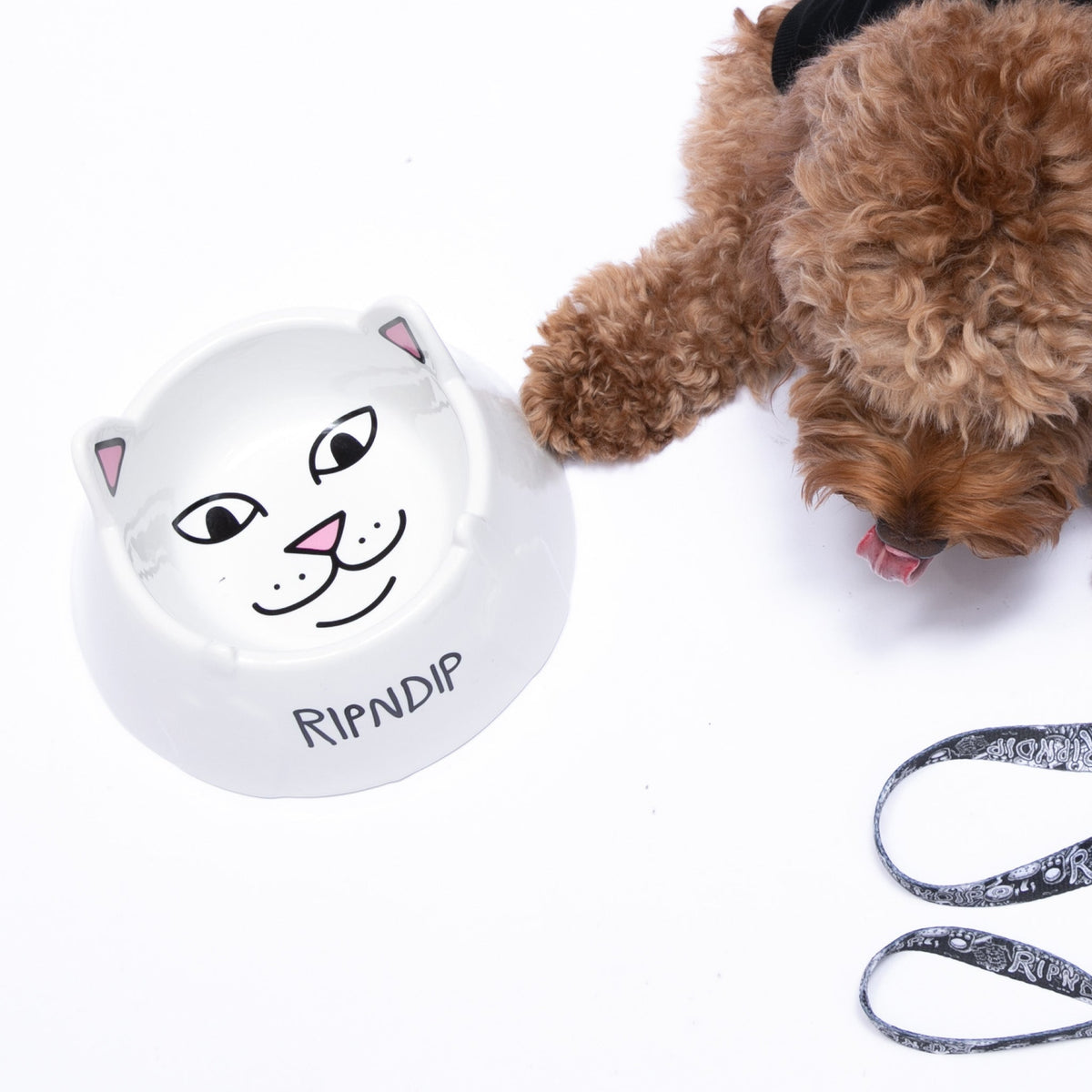 Ceramic Pet Bowl product image 2