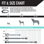 Dog Collar product image 4