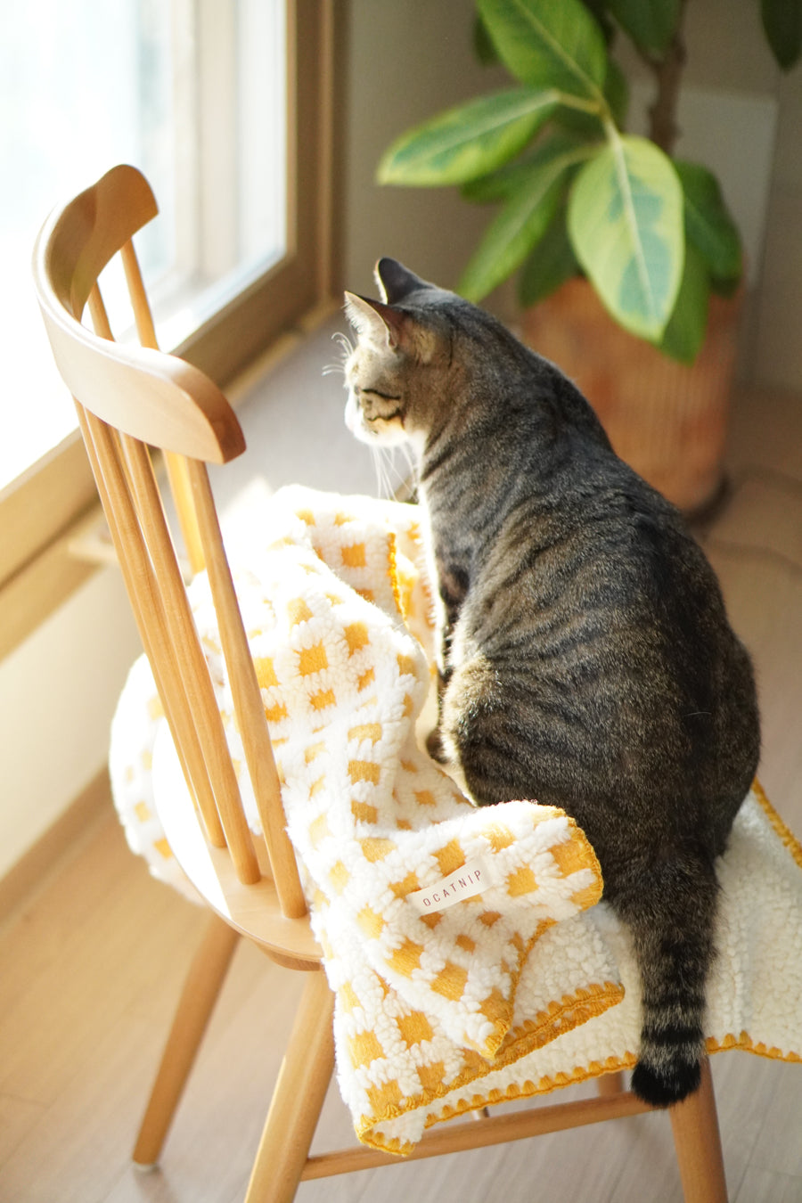Pet Blanket product image 7