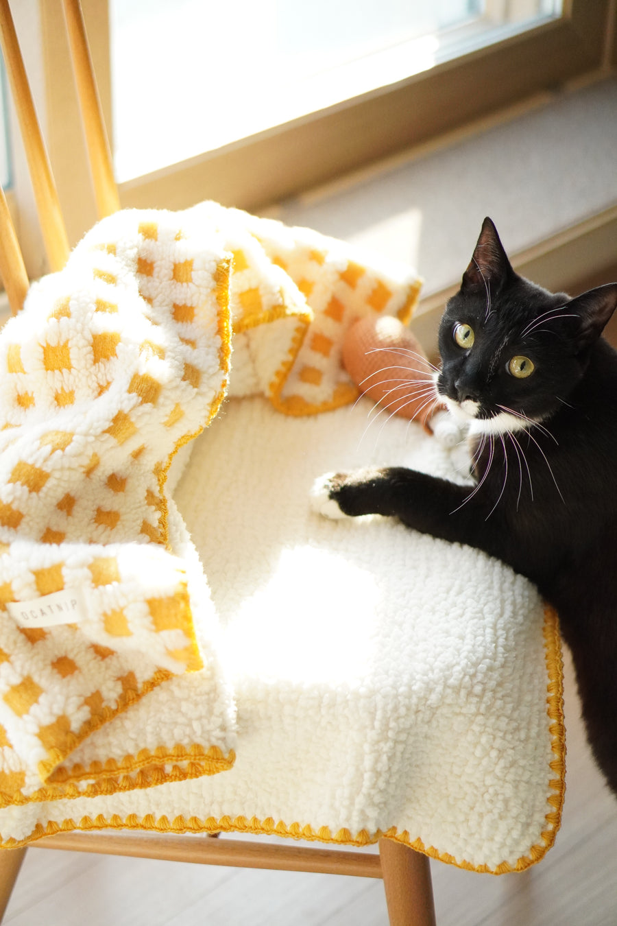 Pet Blanket product image 11
