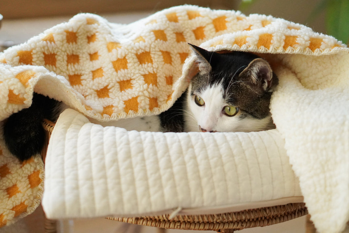 Pet Blanket product image 18