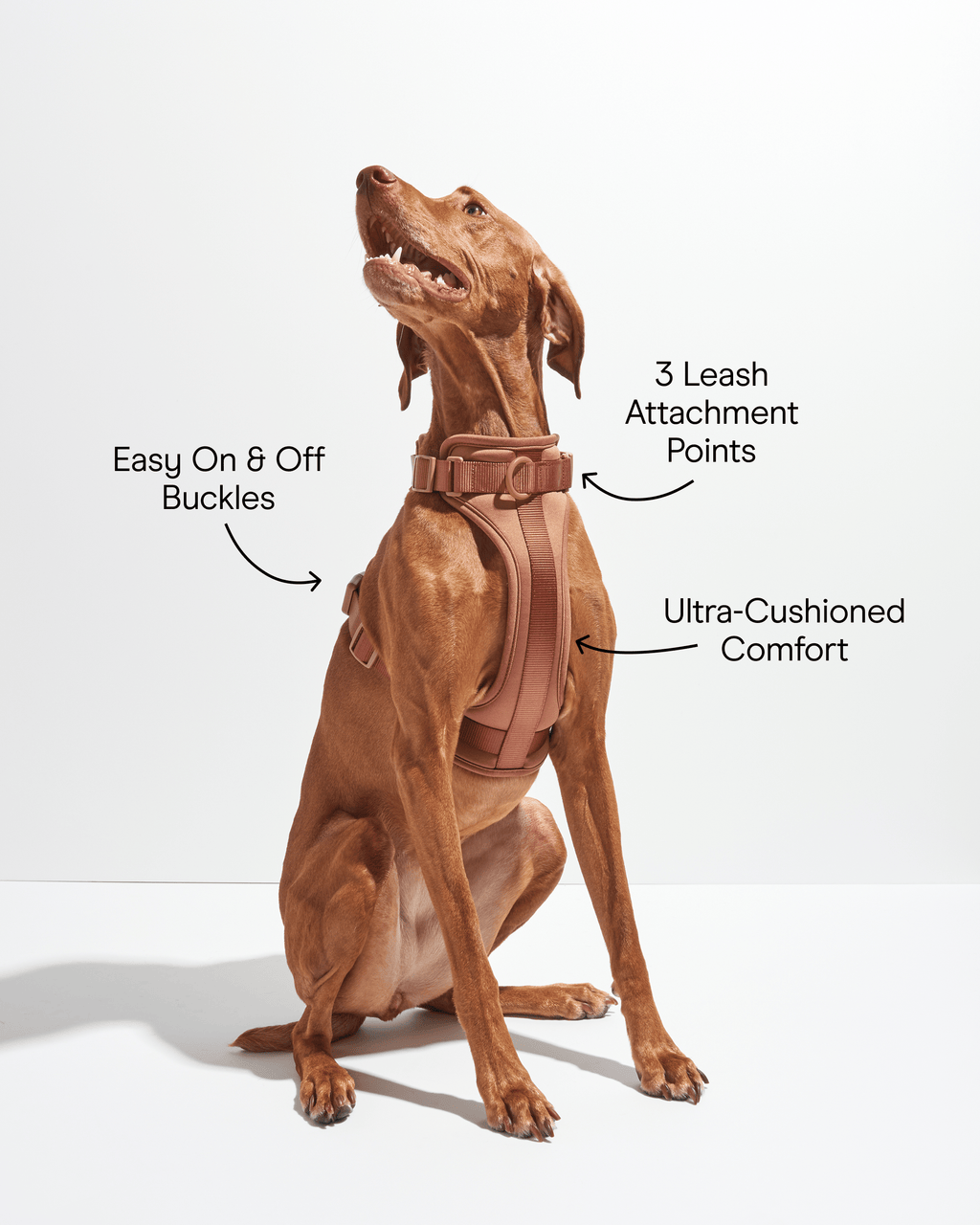 Cushioned No-Pull Dog Harness product image 25