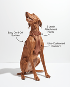 Cushioned No-Pull Dog Harness product image 25