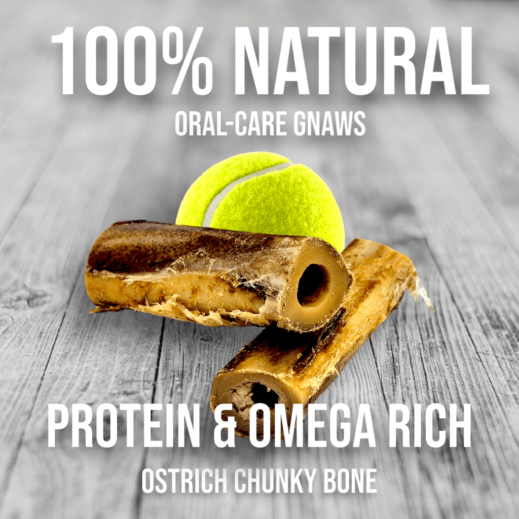 Dog Treat product image 6