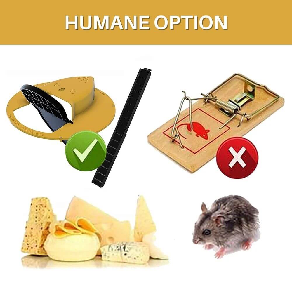 Bucket Lid Rodent Trap product image 4