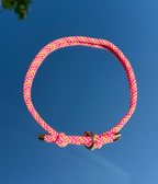 Dog House Collar product image 1