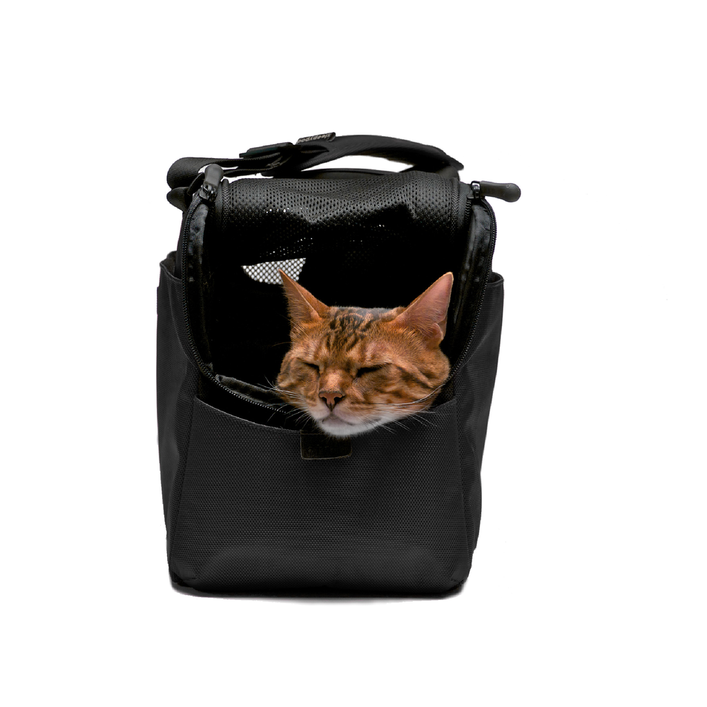 Pet Carrier product image 9