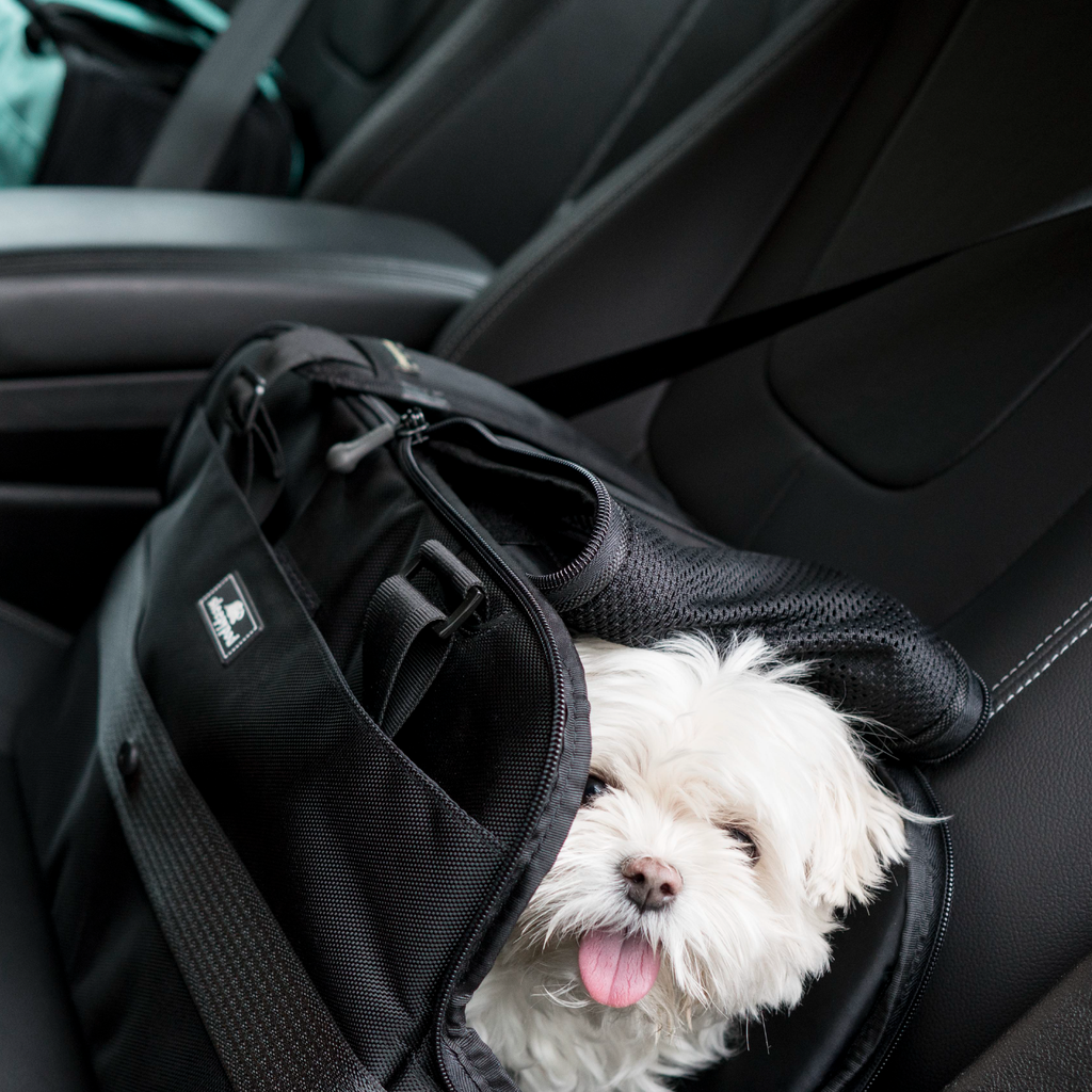 Pet Carrier product image 11
