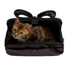 Pet Carrier product image 15