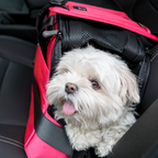 Pet Carrier product image 21