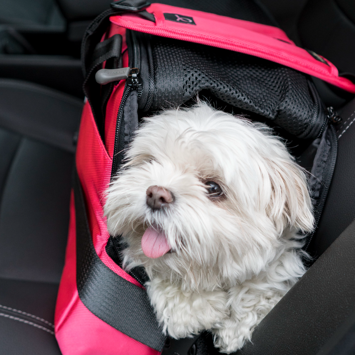 Pet Carrier product image 21