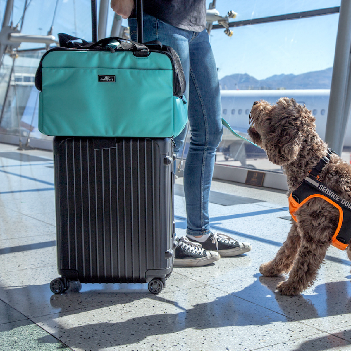 Pet Carrier product image 28