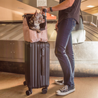 Pet Carrier product image 40