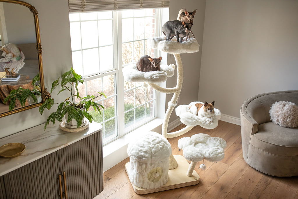 Cat Tree product image 6