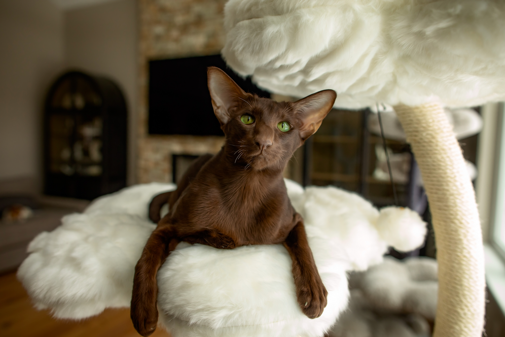 Cat Tree product image 9