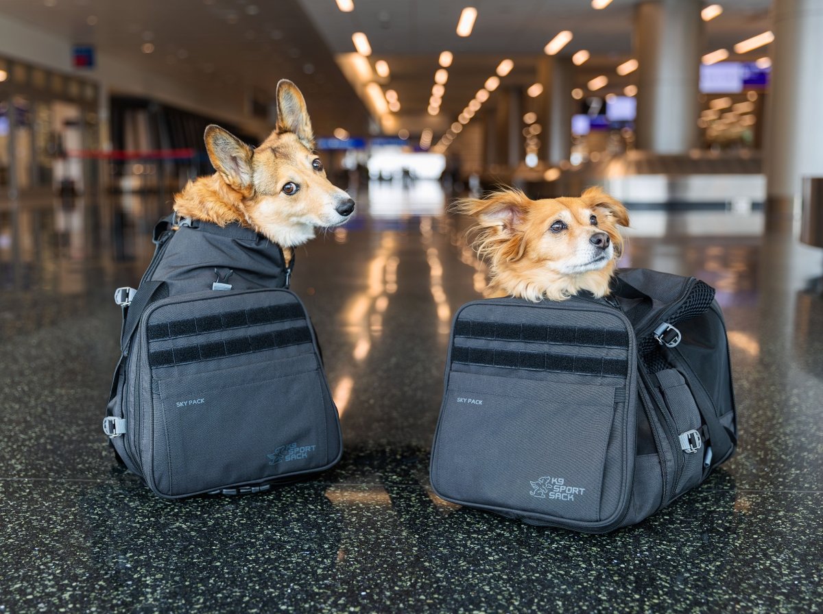 Dog Backpack Carrier product image 9