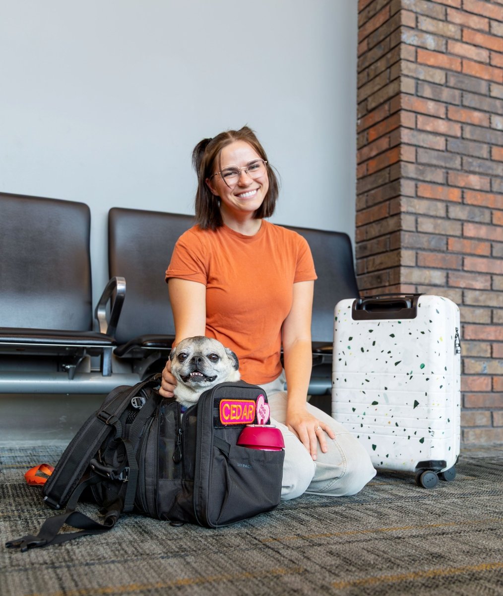 Dog Backpack Carrier product image 10