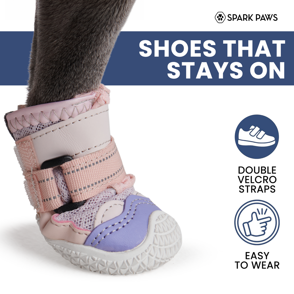Dog Shoes product image 2