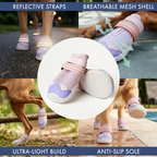 Dog Shoes product image 4