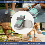 Dog Shoes product image 10
