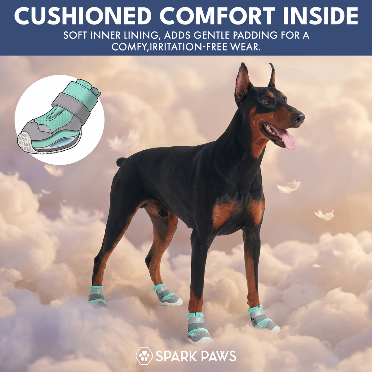 Dog Shoes product image 11