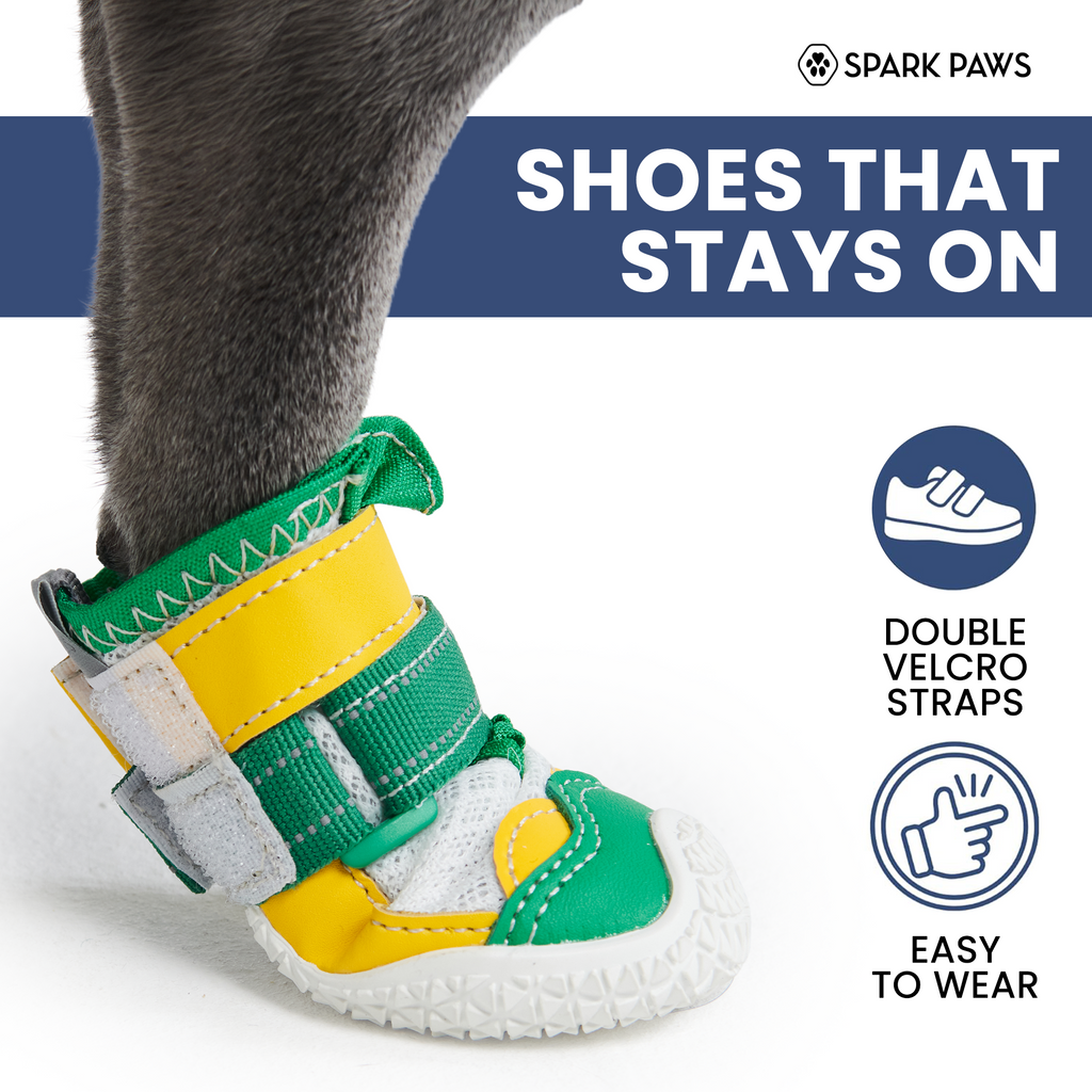 Dog Shoes product image 14